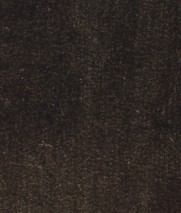 APZ10