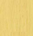 Tarkett得嘉StandardPlus:TH_21003916