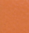 得嘉PVC運動地板 Orange2